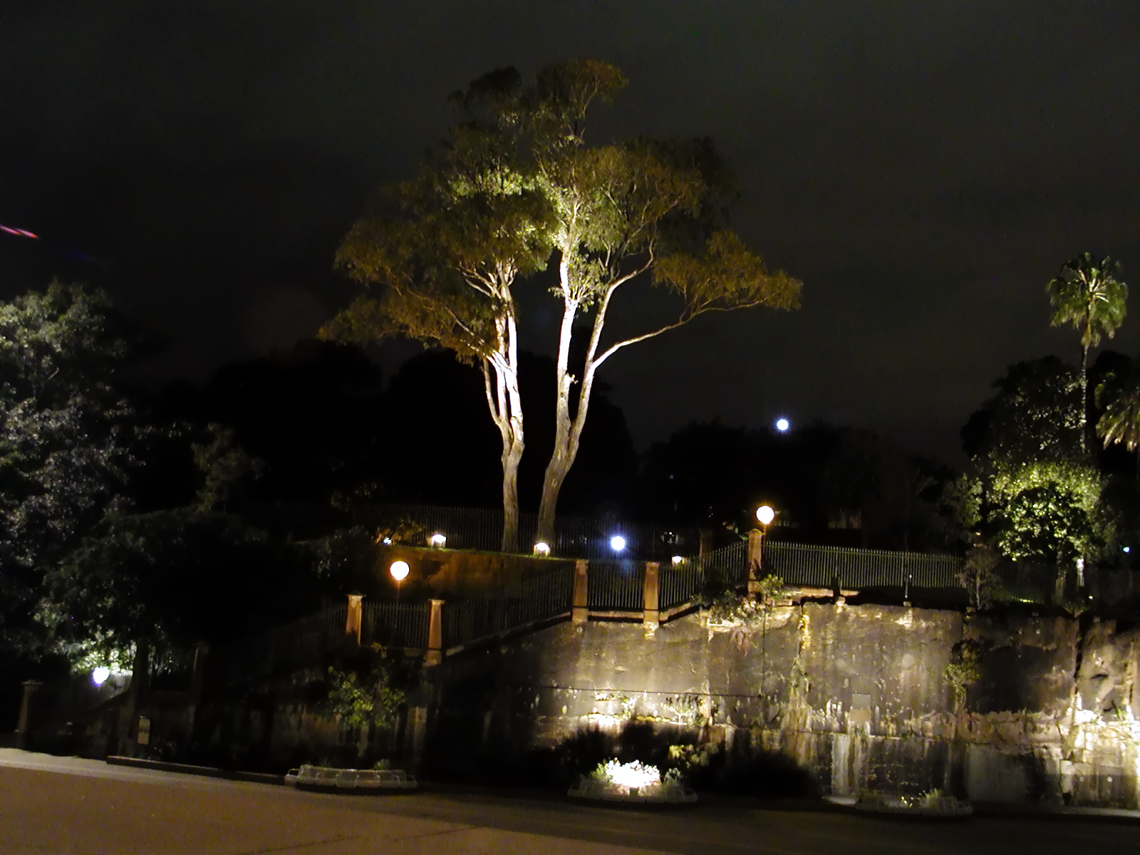 16-Jun-2001 21:19 - Sydney - Trees near the Opera House
