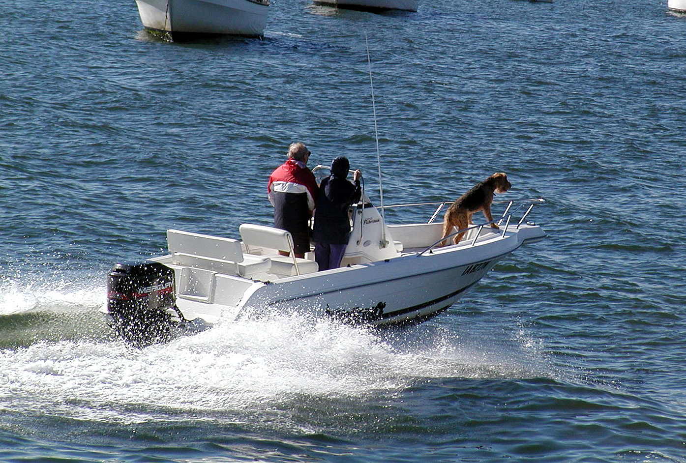 17-Jun-2001 11:33 - Sydney - Fido in charge