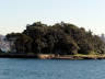 17-Jun-2001 10:20 - Sydney - Shark Island