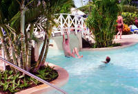 Click for larger image.