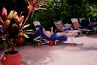 Click for larger image.