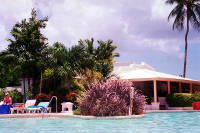 Click for larger image.