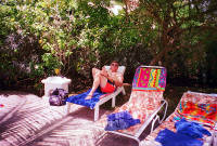 Click for larger image.