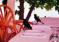 Click for larger image.