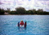 Click for larger image.