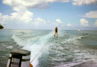 Click for larger image.