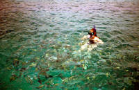 Click for larger image.