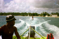 Click for larger image.