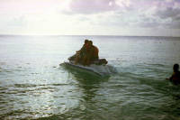 Click for larger image.