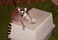 Click for larger image.