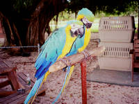 Click for larger image.