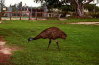 Click for larger image.