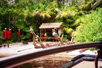 Click for larger image.