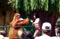 Click for larger image.