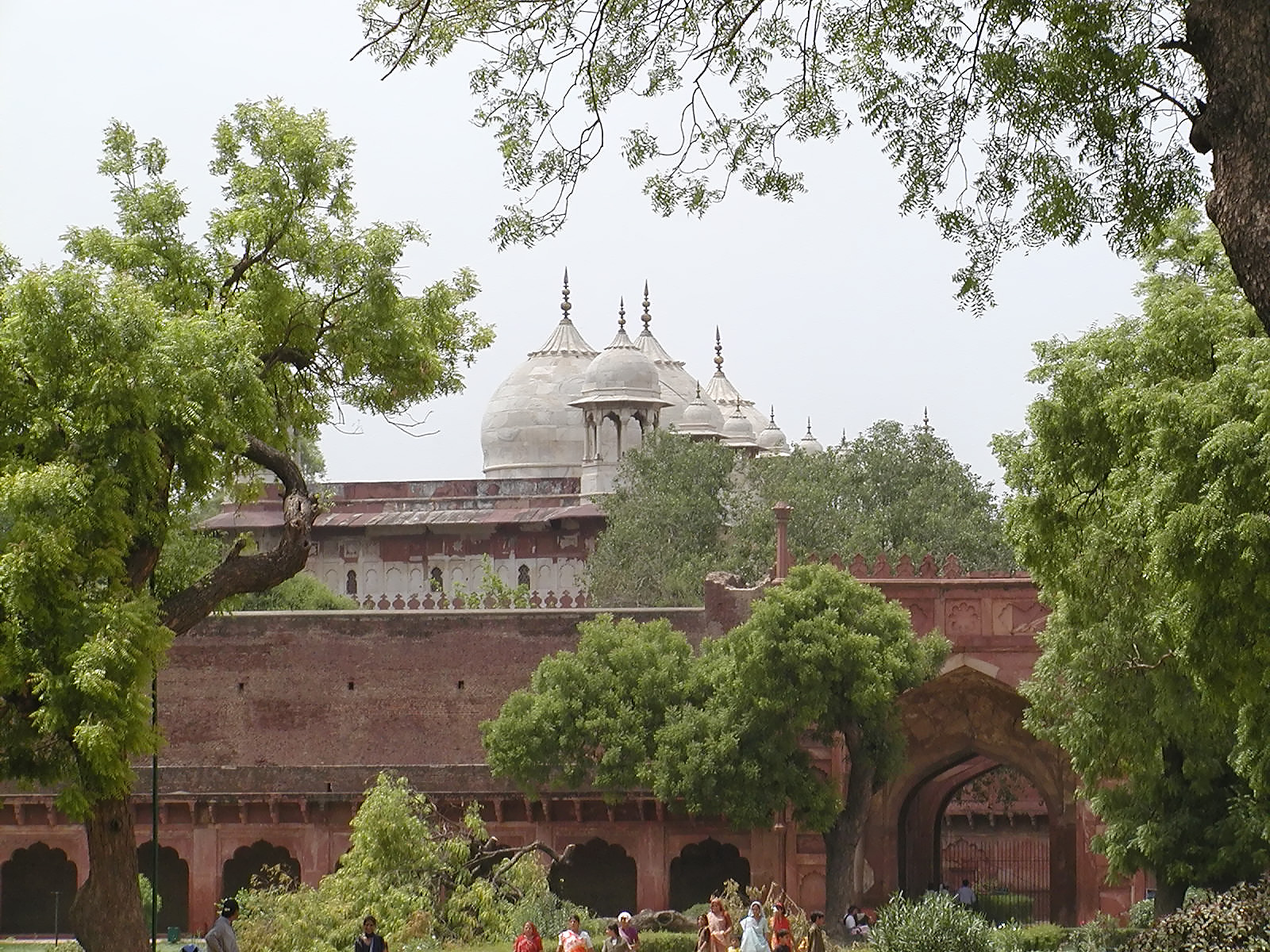 10-Jun-2001 13:46 - Agra - Agra Fort - Domes of the Moti Masjid (Pearl Mosque) built 1646-1653