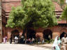 10-Jun-2001 13:35 - Agra - Agra Fort - Just inside Amar Singh gate