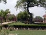 10-Jun-2001 13:43 - Agra - Agra Fort - Tree in the main courtyard