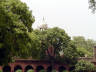 10-Jun-2001 13:44 - Agra - Agra Fort - Tree in the main courtyard with dome of the Moti Masjid (Pearl Mosque) built 1646-1653