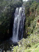 Thomson falls