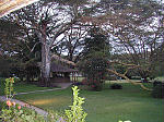 Gardens of Lake Naivasha Country Club