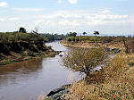 Mara river