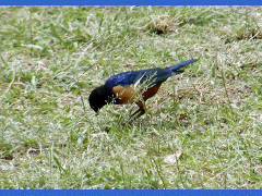 Click for larger image.