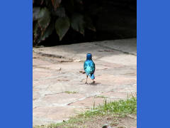 Click for larger image.