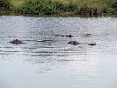 Click for larger image.