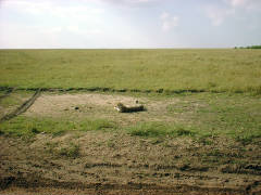 Click for larger image.