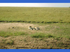 Click for larger image.