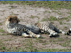 Click for larger image.