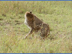 Click for larger image.