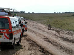 Click for larger image.