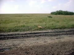 Click for larger image.