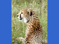 Click for larger image.