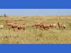 Click for larger image.