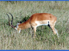 Click for larger image.