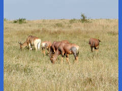 Click for larger image.