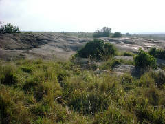 Click for larger image.