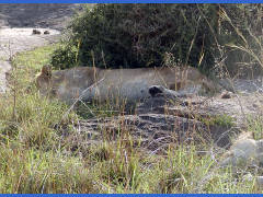 Click for larger image.