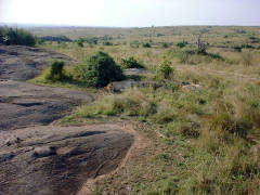 Click for larger image.