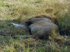 Click for larger image.