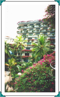 Garden Wing from Steve Nunn's room