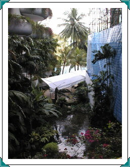 The water feature in the Garden Wing