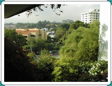 Trees behind the Garden Wing of the hotel