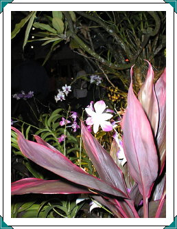 Members Meeting Offsite