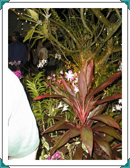 Members Meeting Offsite