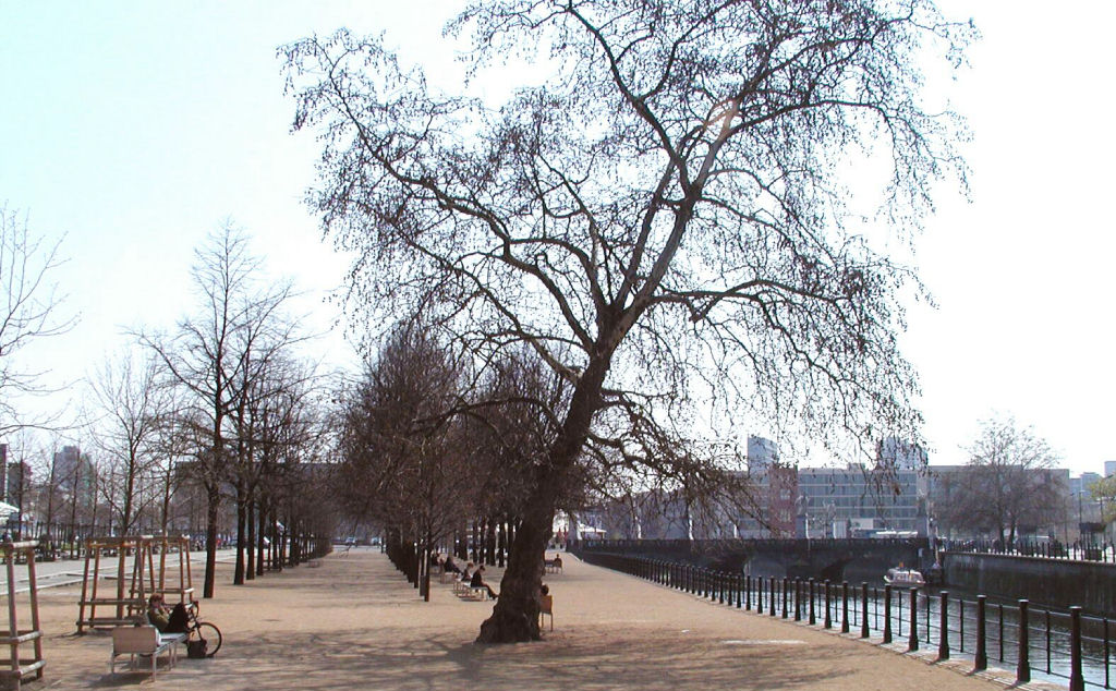 Trees in Lustgarten