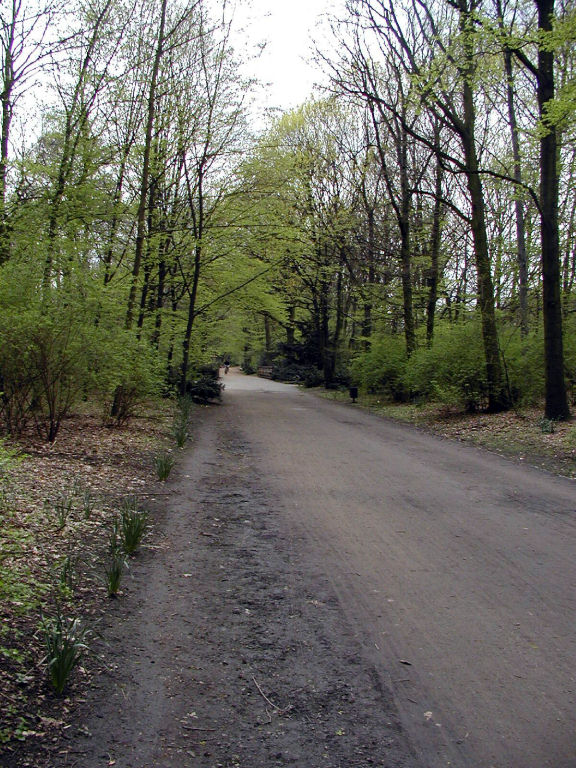 Tiergarten - Footpath/bridleway