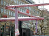 Unter den Linden - The pink pipes